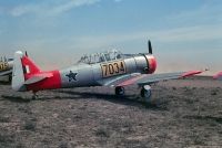 Photo: South African Air Force, North American Harvard, 7034