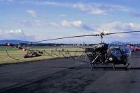 Photo: Royal Army, Bell AH-1 Cobra, XT134