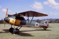 Photo: Luftwaffe, Albatros DV, D5390